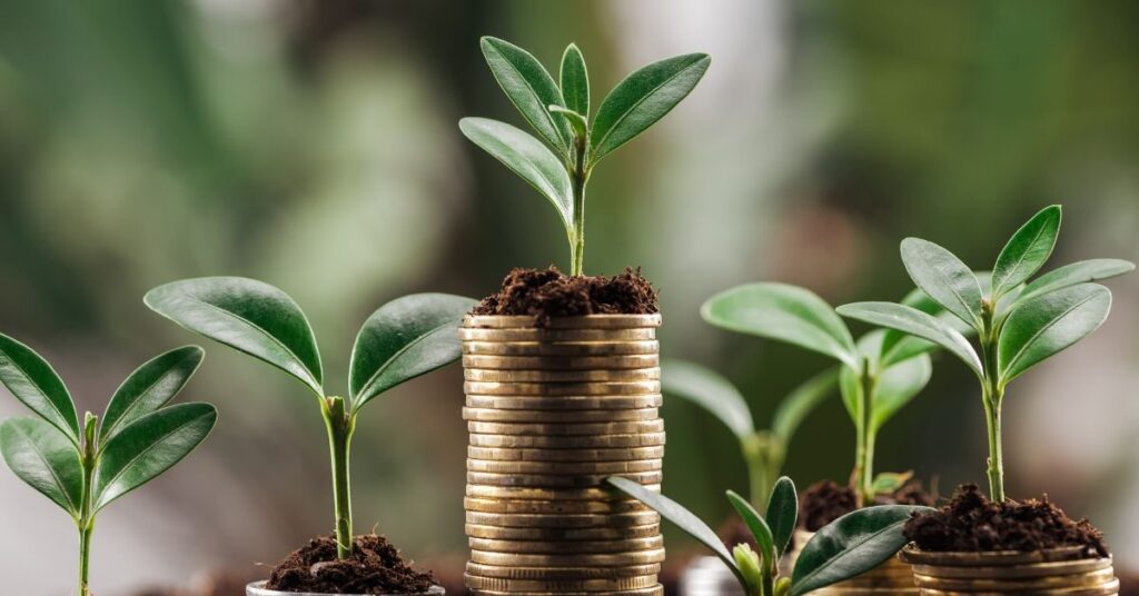 Learning to invest your money for your future