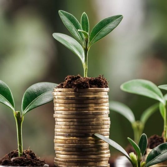 Learning to invest your money for your future